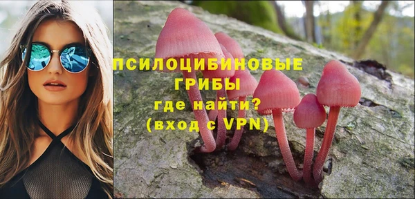 ECSTASY Дмитровск