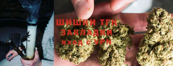 ECSTASY Дмитровск